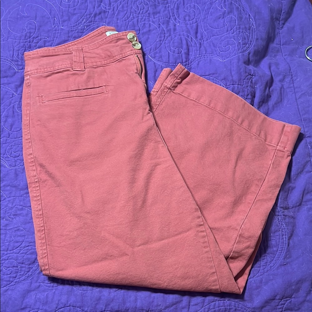 Stylish Rose Pants